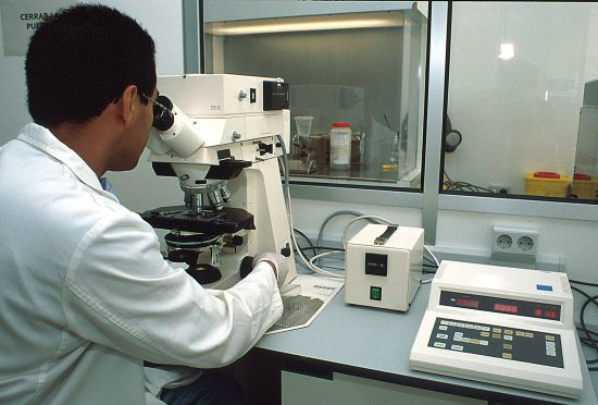 estudios